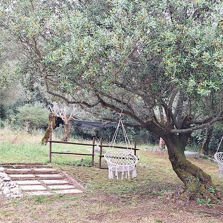 Arrimal Moradia Rural De Charme Agradavel E Acolhedora 빌라 외부 사진